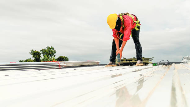 Best Roof Moss and Algae Removal  in Stanhope, NJ